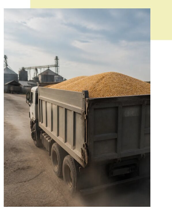 Перевозка сельхозпродукции навалом в Россошь по цене от 3111 р. | Агросервис-Рсс