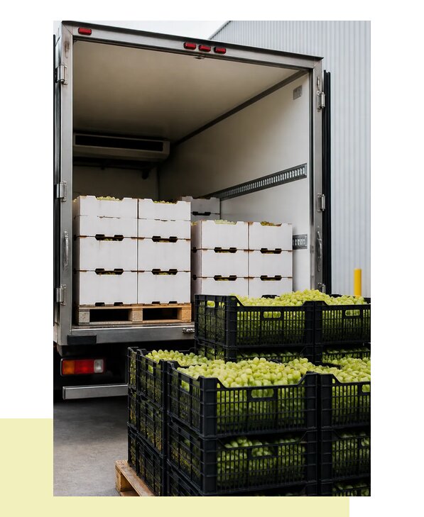 Перевозка винограда в Россошь с сохранением качества урожая